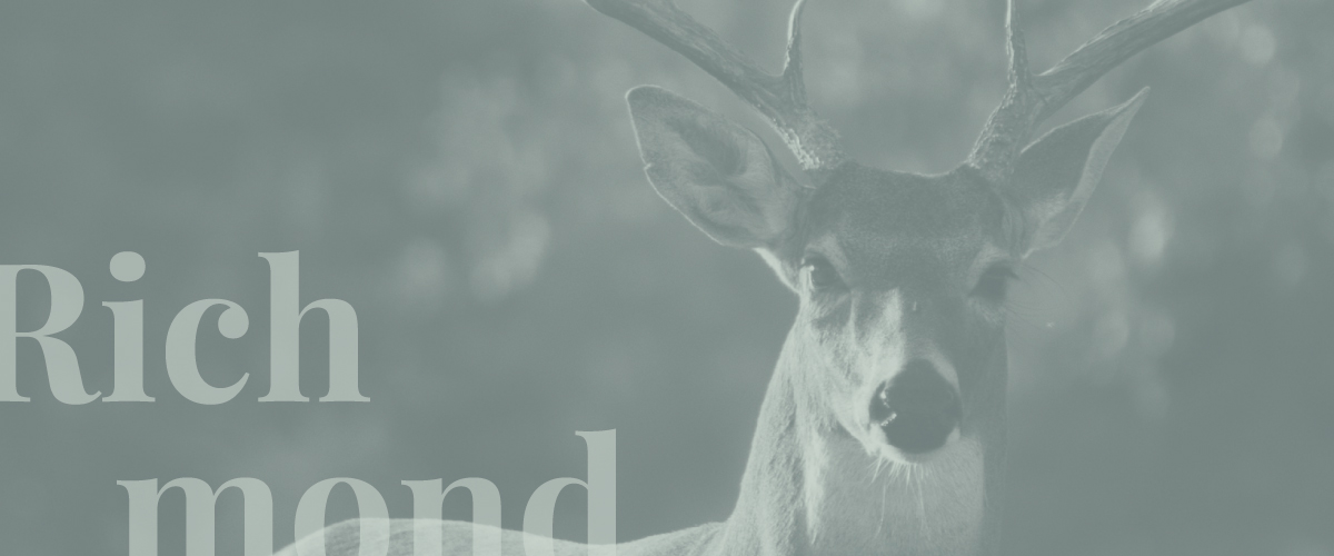 Richmond - A Scent Story